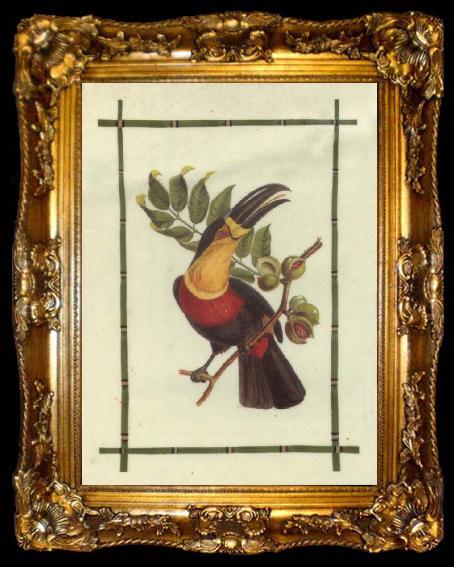 framed  Jean Descourtiz Rain Forest Toucan I, ta009-2